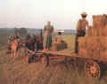 Bringing in the hay bales