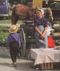 Roadside stand