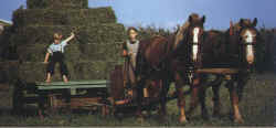 The hay wagon